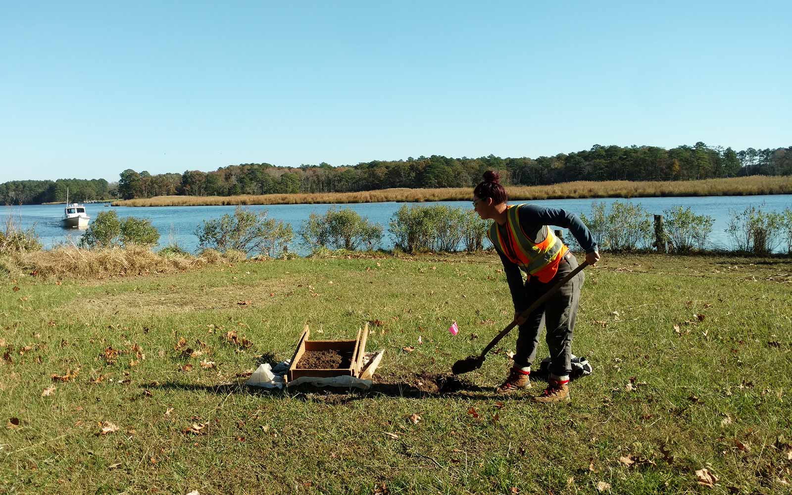 Pirates Wharf archaeological assessment